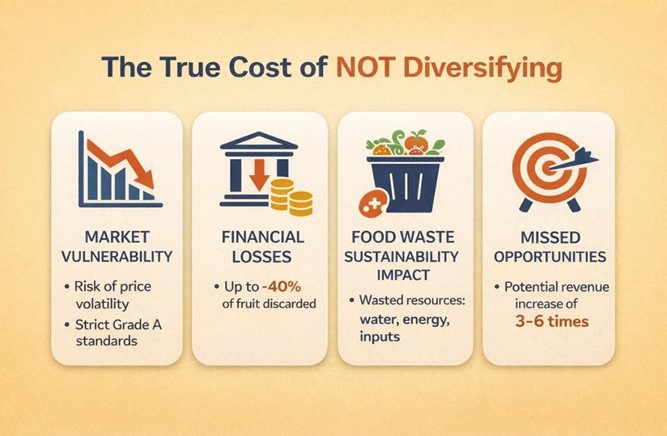 The Cost of not diversifying.jpg